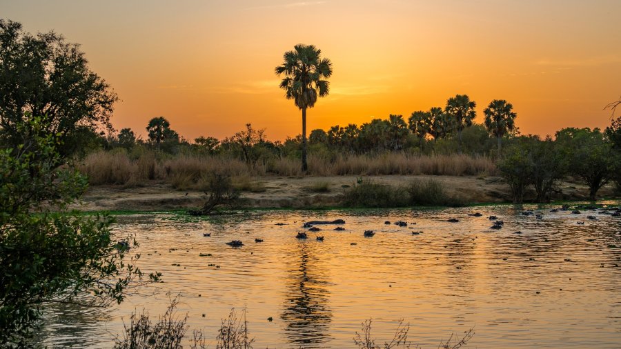 A caccia di bufali neri nella savana dell'Africa orientale con l'Express Krieghoff 20180228-DSC09176_web-min.jpg