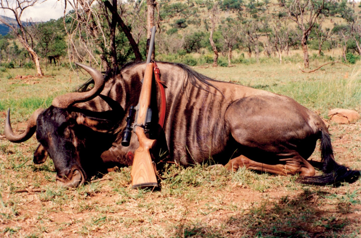 Caccia a palla senza confini Caccia a palla senza confini