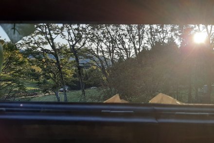 Caccia ai tordi da appostamento con Poli Armi Caccia appostamento ai tordi