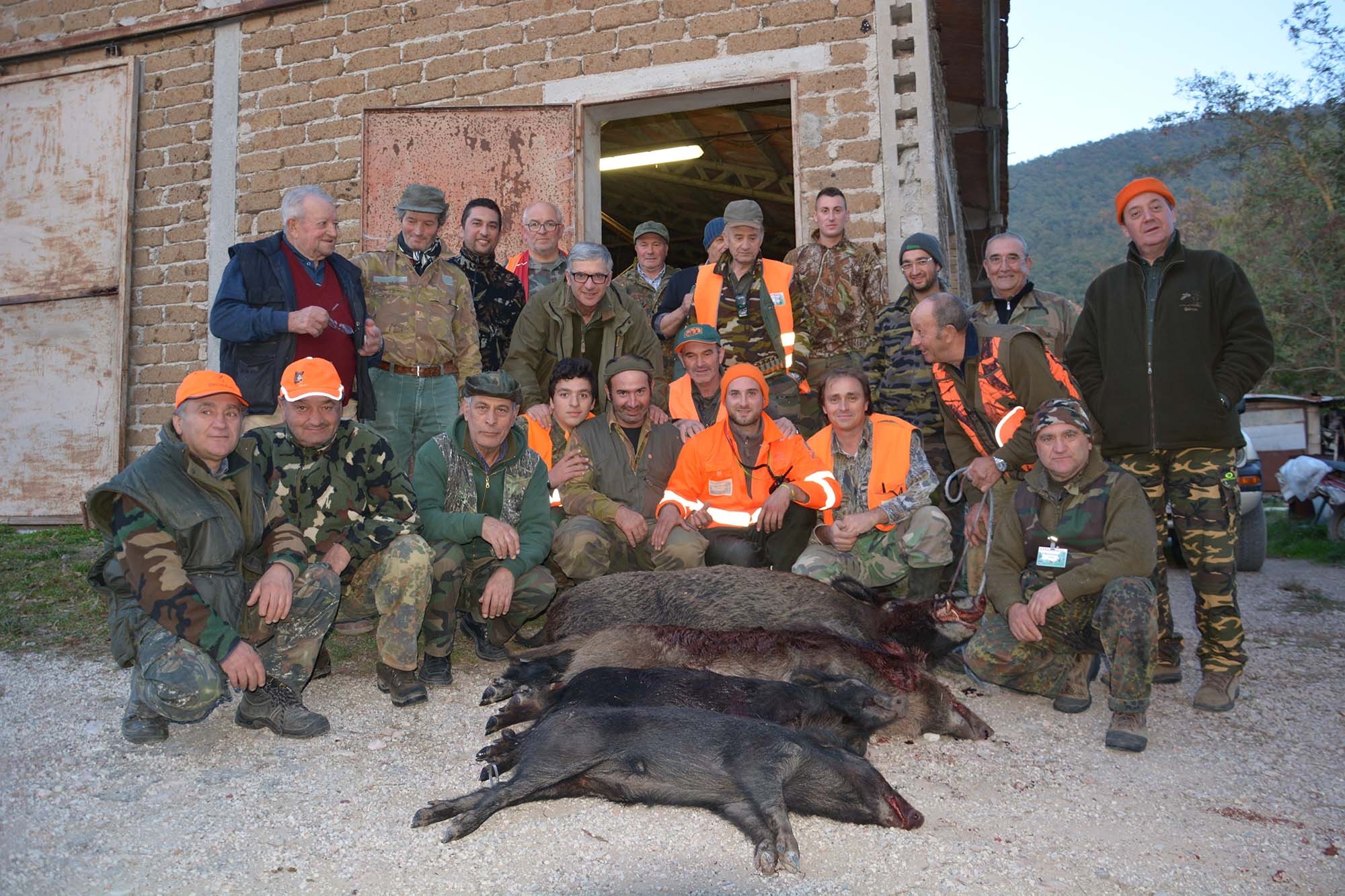 caccia-al-cinghiale: Caccia al cinghiale: braccata o selezione?