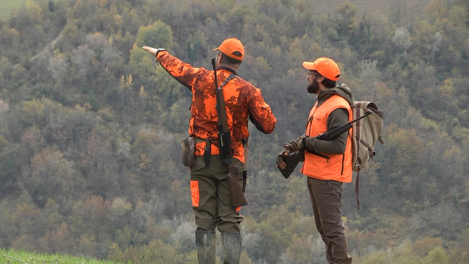 caccia-al-cinghiale: Caccia al cinghiale: emozioni in battuta