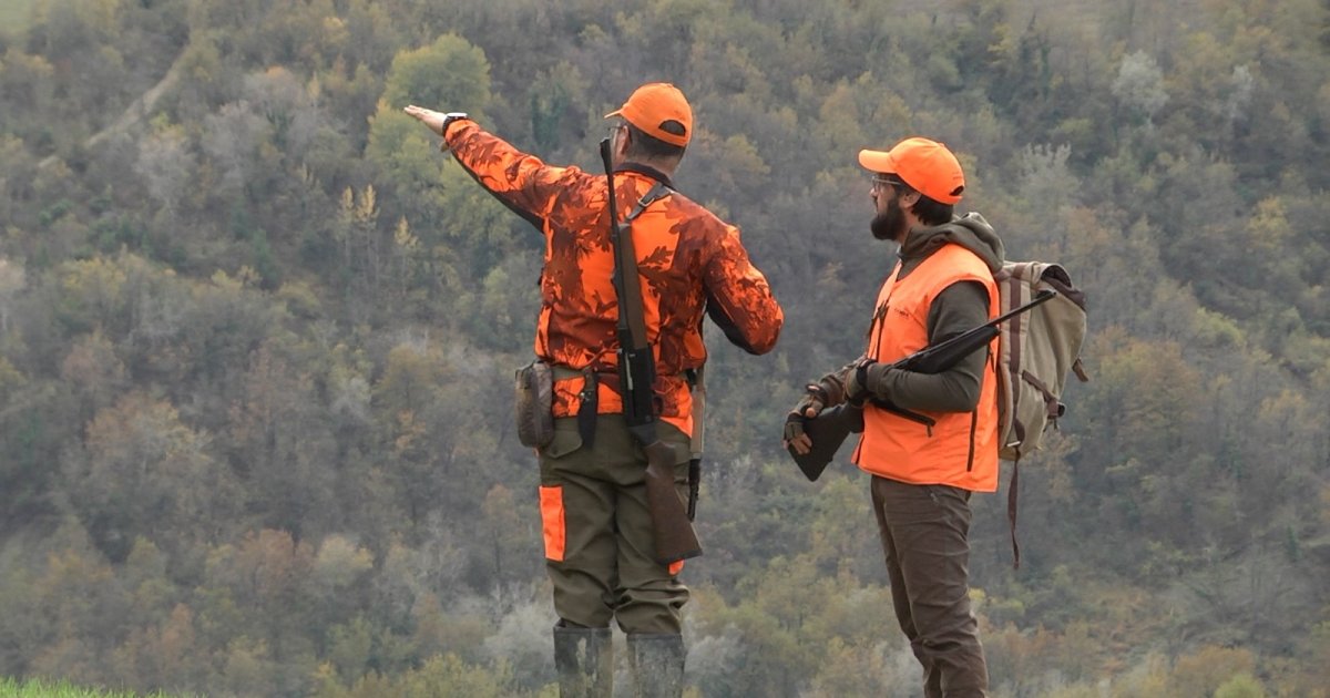 Caccia al cinghiale in battuta video