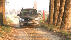 Caccia al fagiano in Val Padana Trivellato Auto