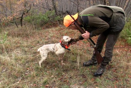 Caccia alla beccaccia 2020: le regine di Fiordimonte Cacciatore con cane
