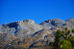 Caccia alle pernici bianche Monte Pasubio