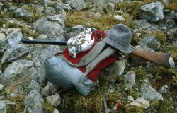 Caccia alle pernici bianche Pernici bianca morta nel Carega, Dolomiti