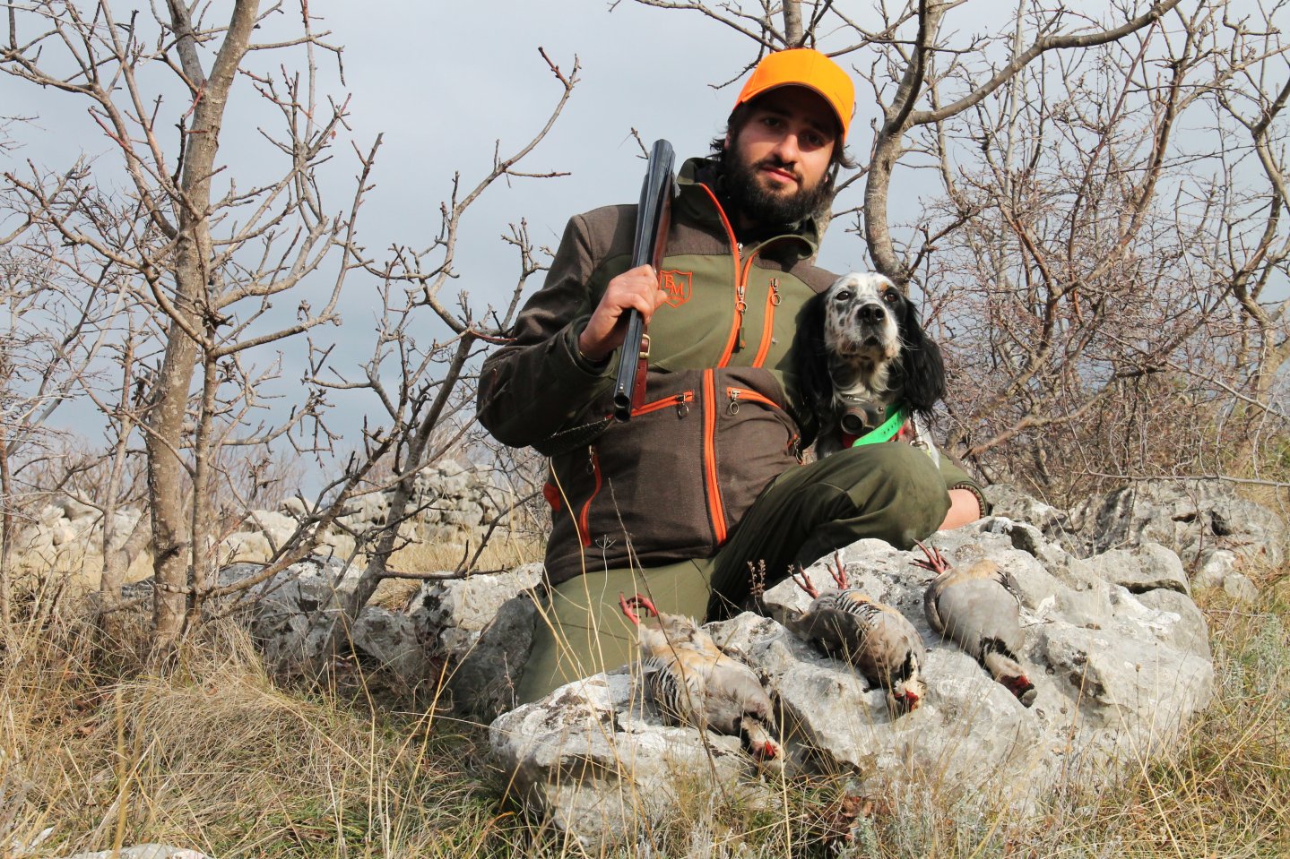 Caccia alle coturnici in Bosnia Erzegovina caccia alle cotorne.jpg