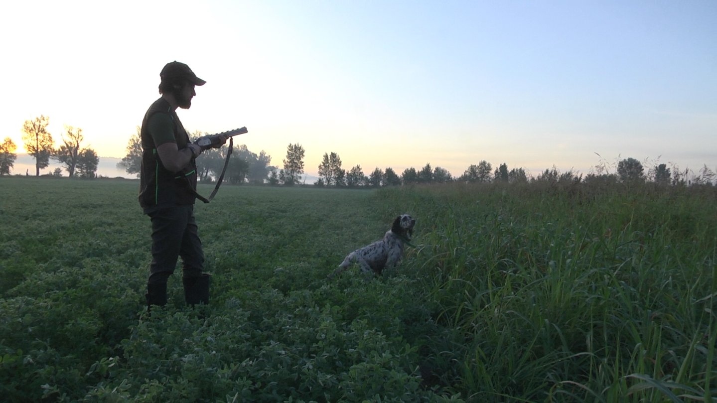 Cacciatore con cane