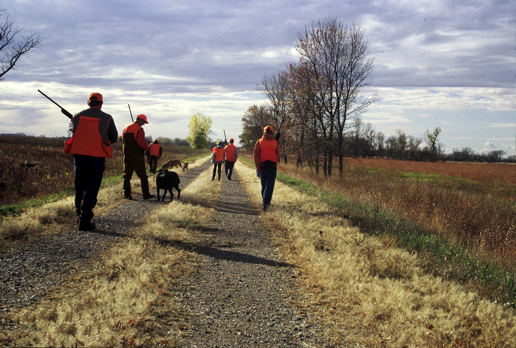 caccia: Caccia: Caleo (Pd) dice no all'abrogazione ART. 842 del CC