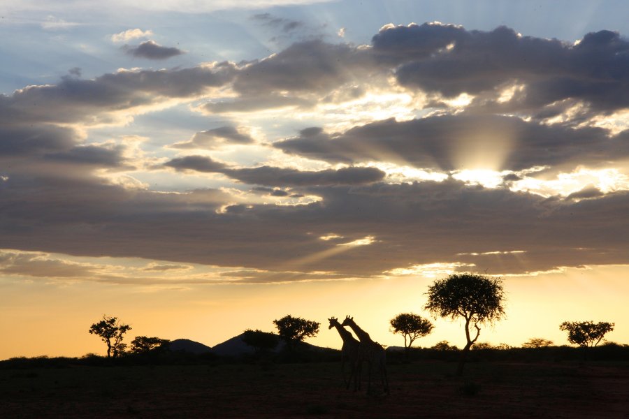 Caccia da sogno: magica Namibia Scenario africano