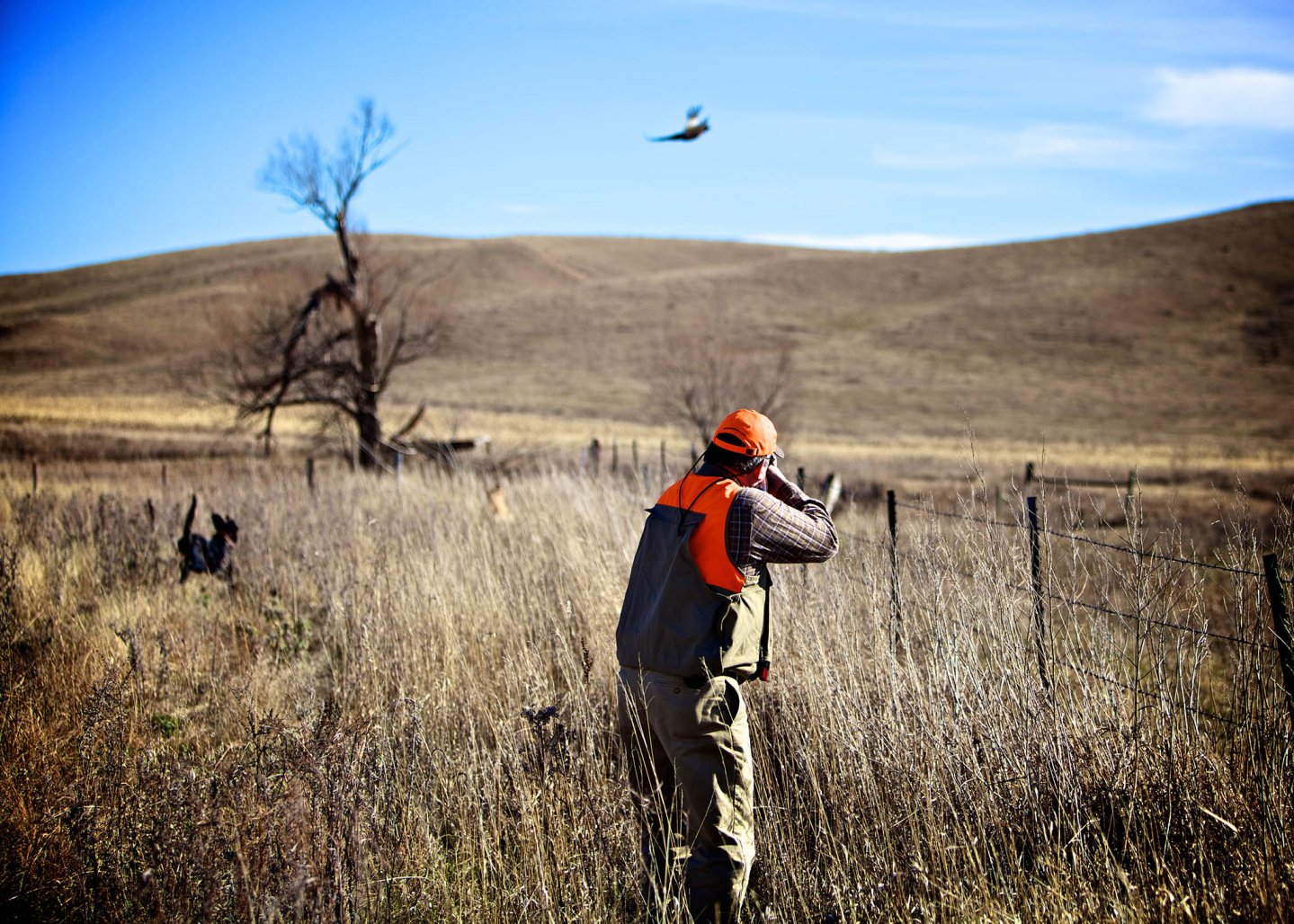 Caccia del Piemonte Caccia del Piemonte