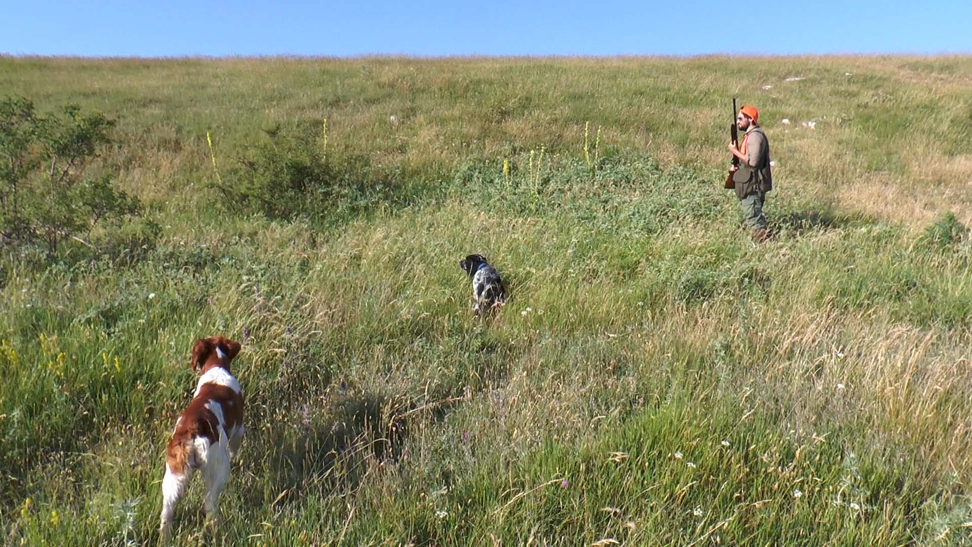 franchi: Caccia e cucina con Franchi: kebab di pernici e starne