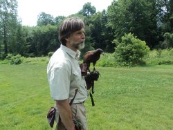 falconieri falconieri