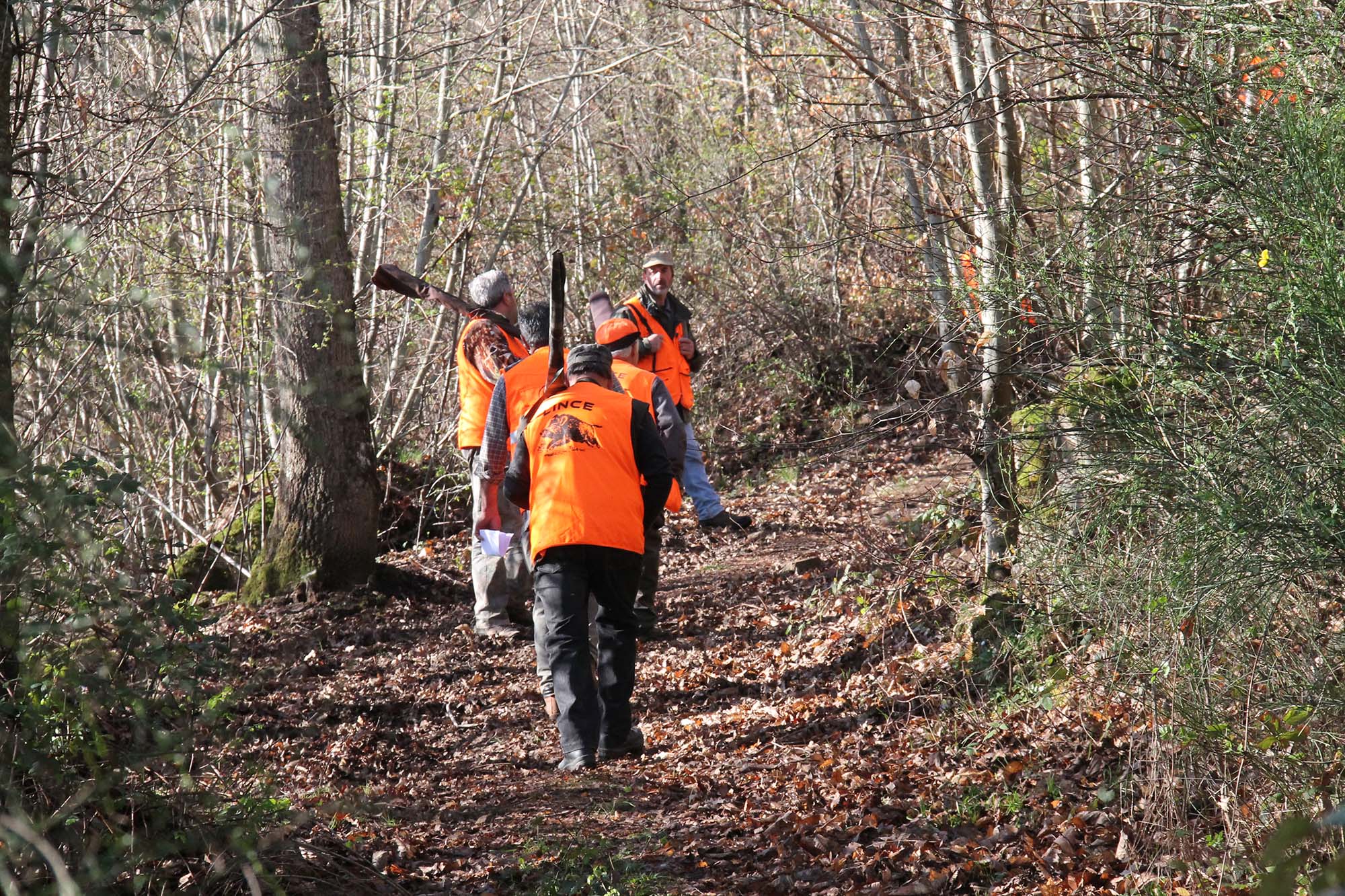 calendari-venatori: Caccia in Toscana: proposte di cambiamento