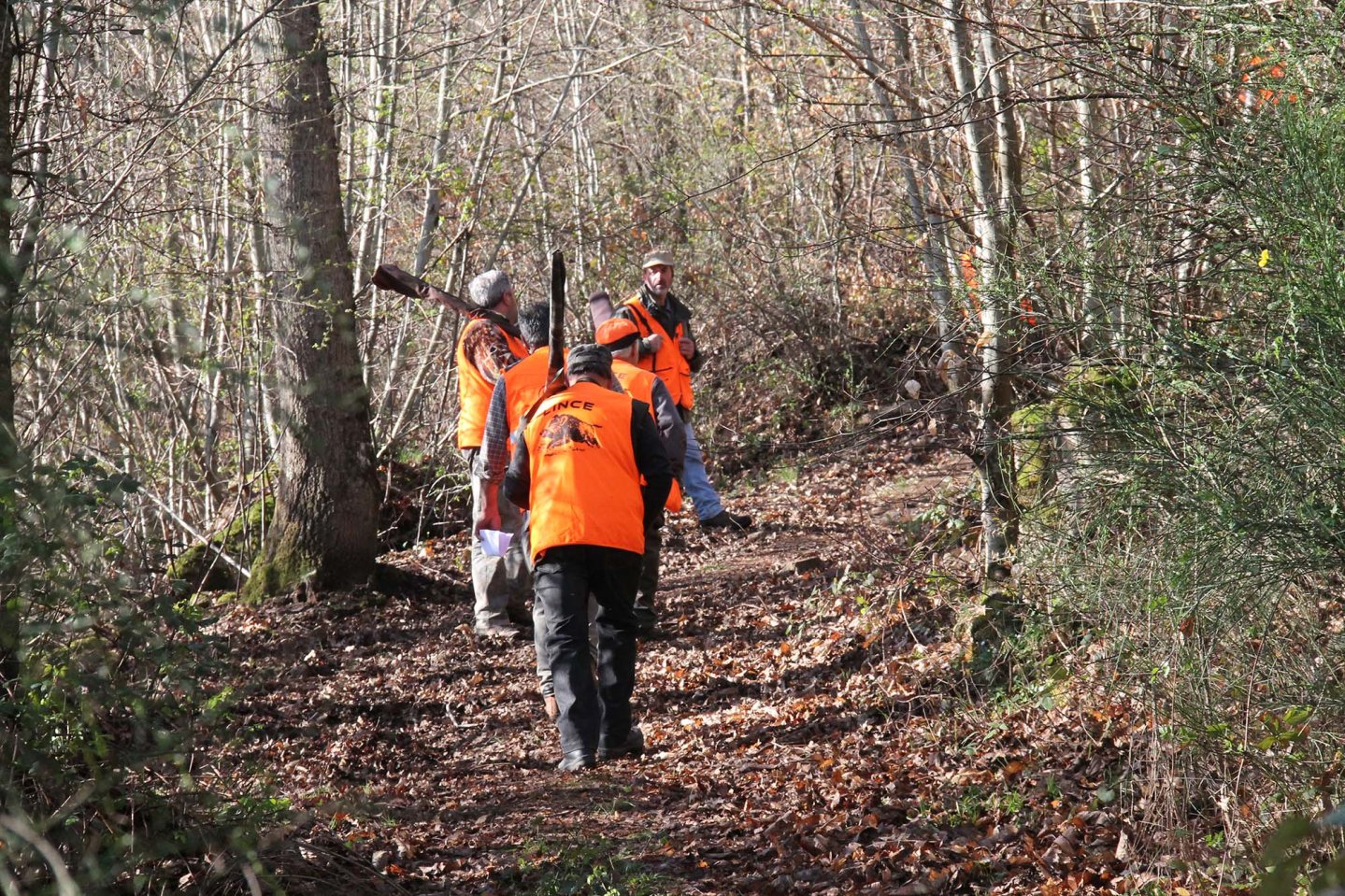 Caccia in Toscana: proposte di cambiamento Cacciatori di cinghiali