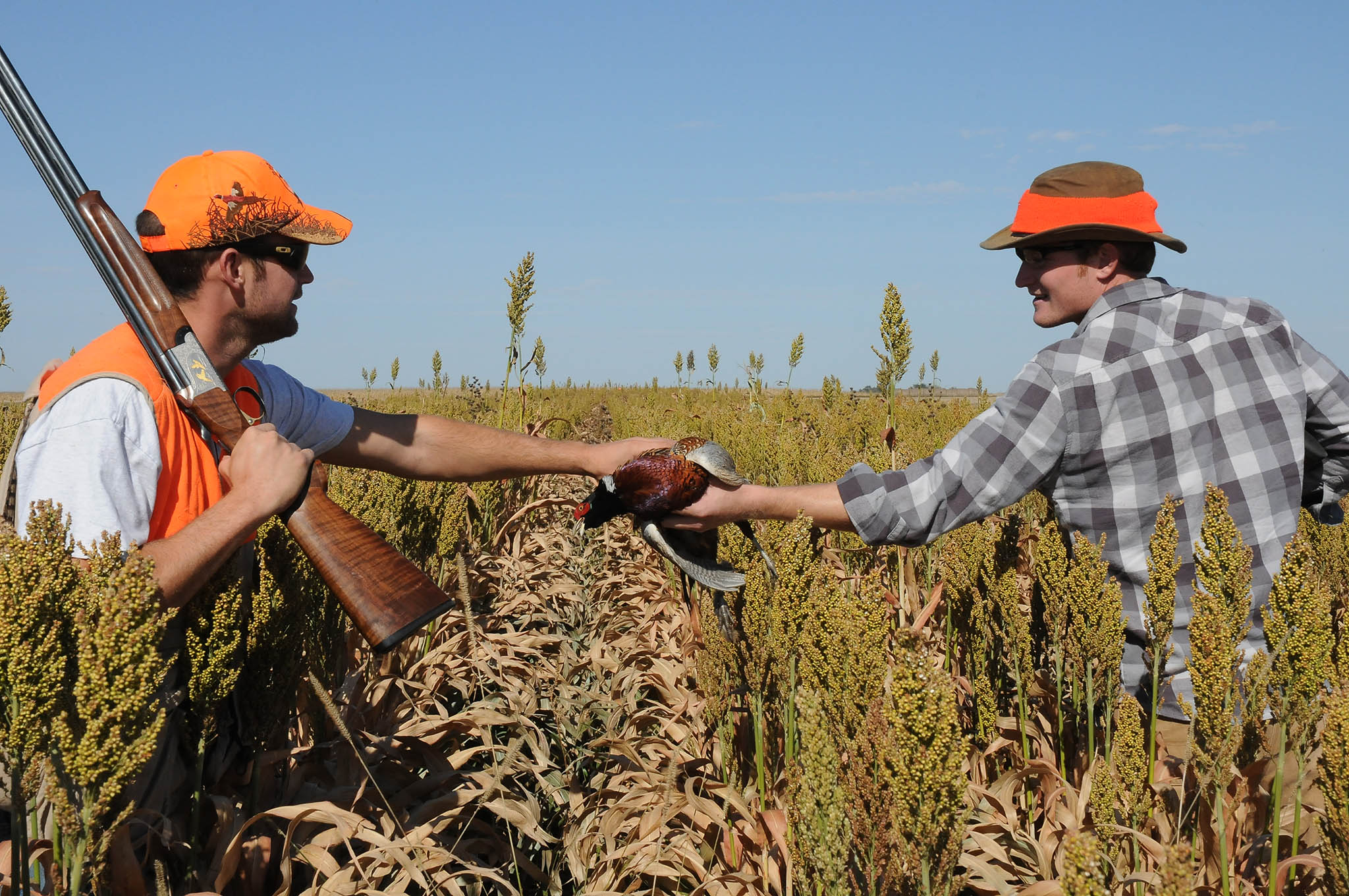 caccia: Preapertura: da associazioni venatorie e CNCN il consueto “In bocca al lupo” a tutti i cacciatori