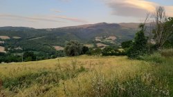 Caccia selettiva al cinghiale in Valle di Fiordimonte Panorama Valle di Fiordimonte