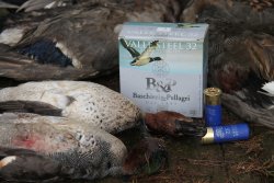 Caccia vagante agli acquatici Cartucce Baschieri con pallini di acciaio Valle Steel