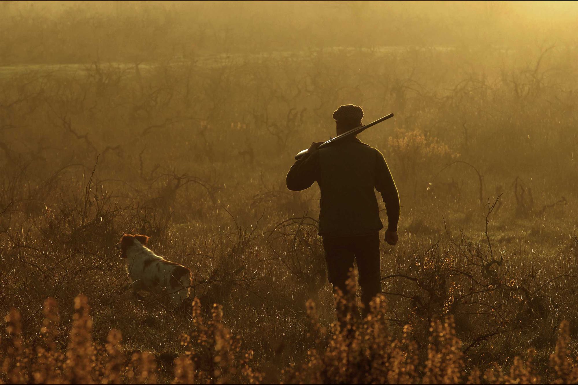cultura-venatoria: Cacciatori e pescatori a sostegno dei terremotati del centro Italia