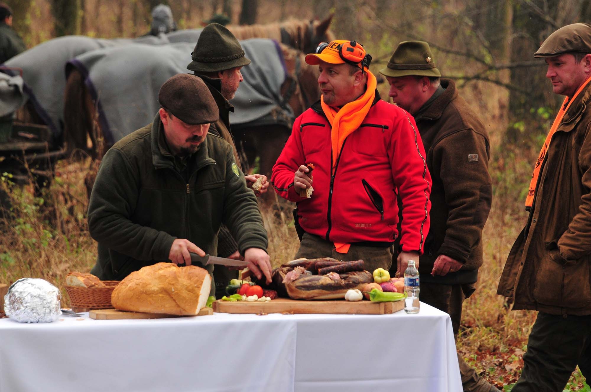selvaggina: Carne selvaggia: carnivori di tutto il mondo unitevi! Parte prima selvaggina: Carne selvaggia: carnivori di tutto il mondo unitevi! Parte prima