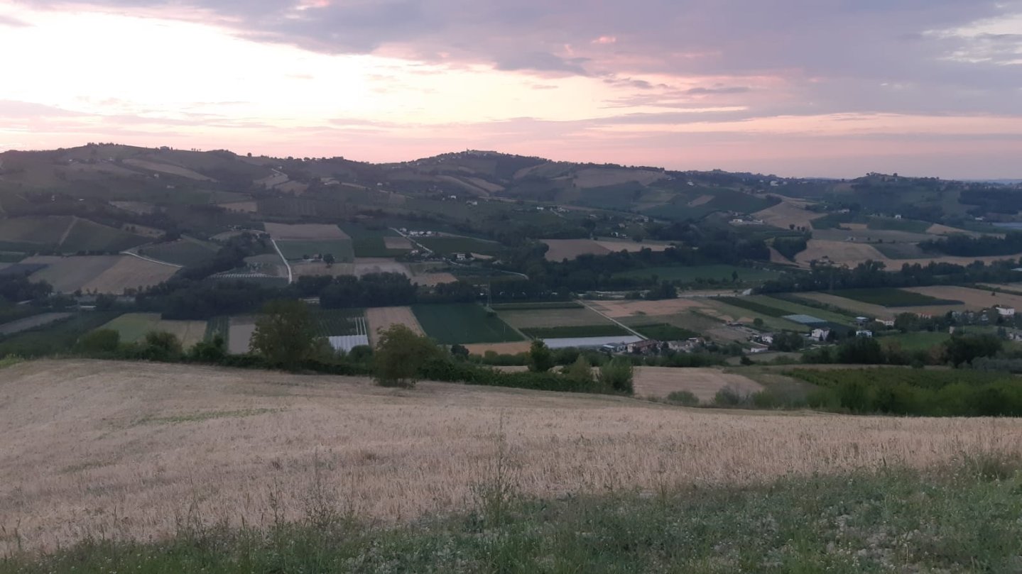 Cementificazione, il killer silente dell’ambiente. Perché non opporsi? Panorama rurale