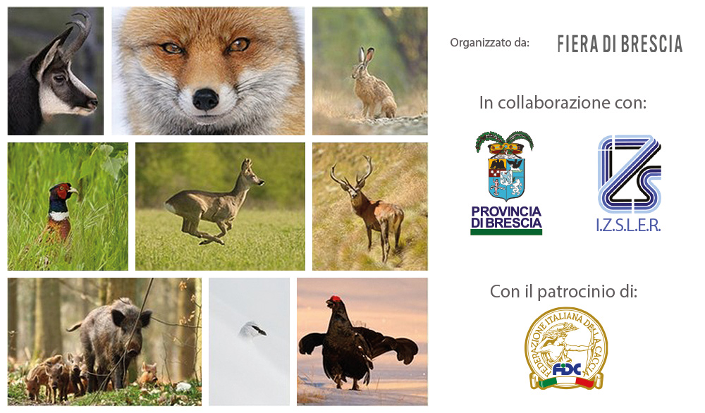 caccia: Check up sanitari della fauna selvatica