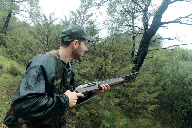 caccia: Chiusura anticipata a tordo bottaccio, cesena e beccaccia imposta dal ministero dell'ambiente
