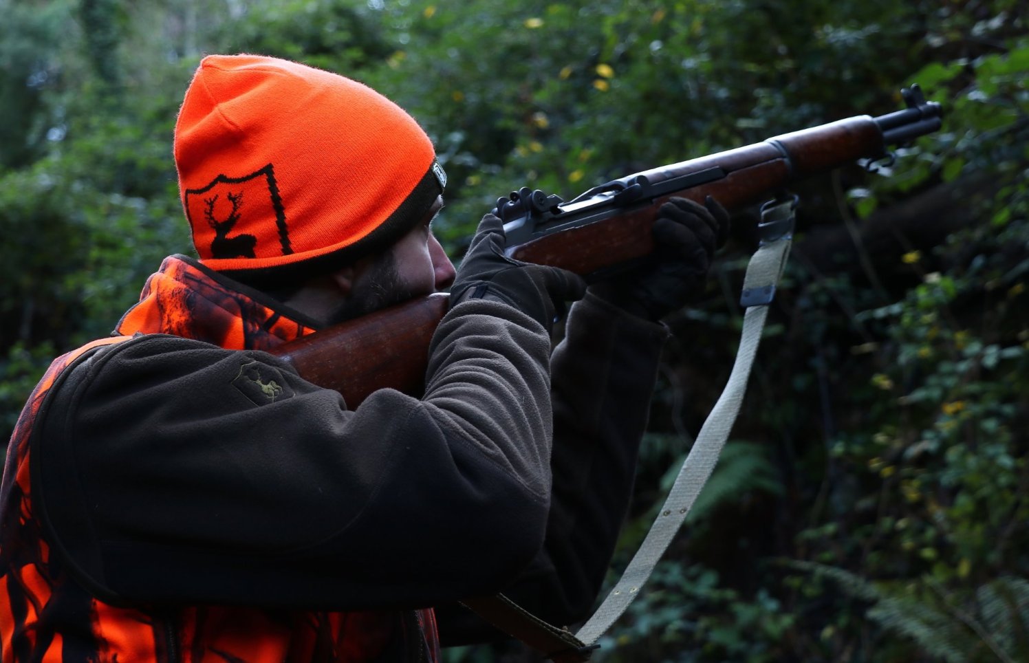 Caccia al cinghiale in Maremma all4shooters Caccia al cinghiale in Maremma all4shooters
