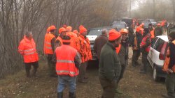 Caccia al cinghiale Caccia al cinghiale