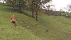 Caccia al cinghiale Caccia al cinghiale