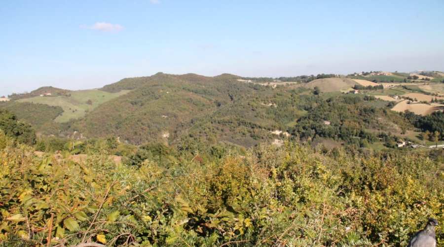 Caccia ai colombacci dal palco