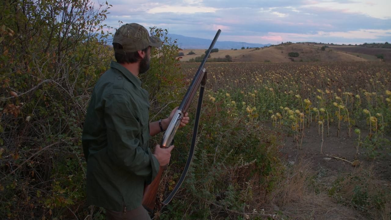 cultura-venatoria: Caccia ai colombacci e tortore in Macedonia del nord