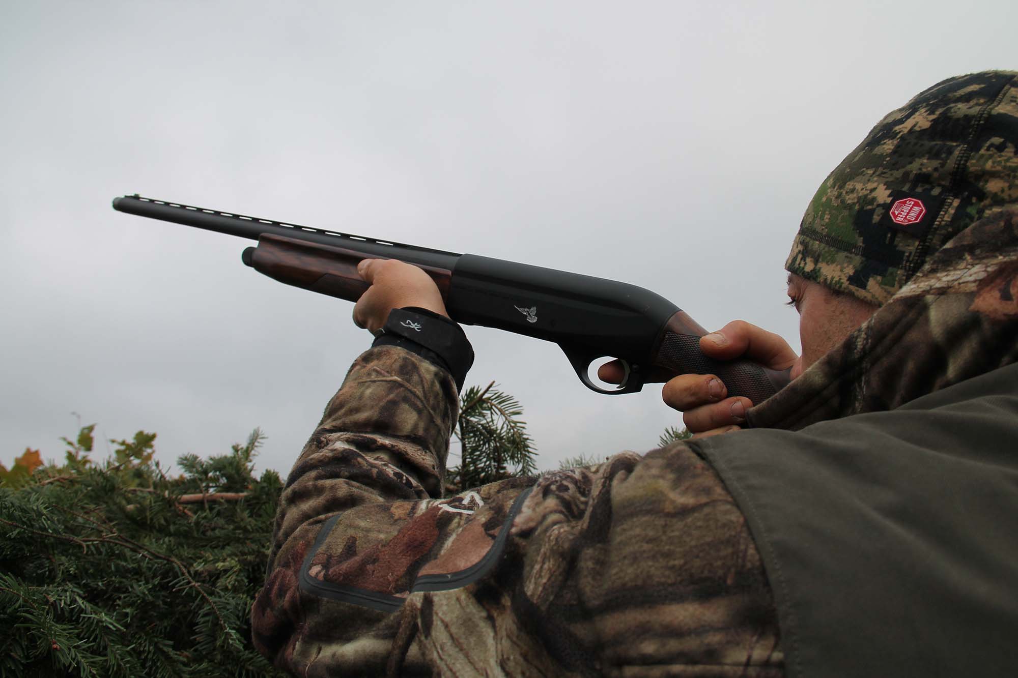 caccia-ai-colombacci: Caccia ai colombacci in inverno