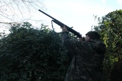 Caccia ai colombacci in inverno Cacciatore al tiro