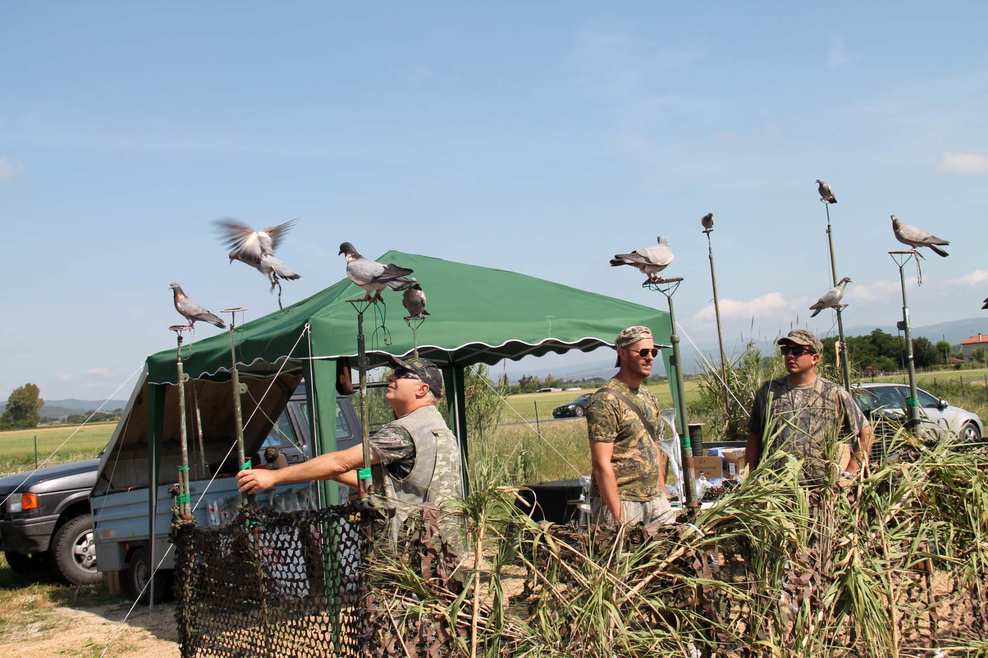 caccia-ai-colombacci: VIDEO: caccia al colombaccio e tecniche di richiamo al Game Fair 2015