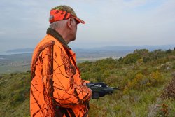 Caccia e gestione: stagione riproduttiva, come salvaguardare i selvatici nascituri Posta al cinghiale