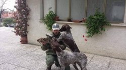 Vinci all4hunters: si conclude la prima edizione Cacciatore con cani