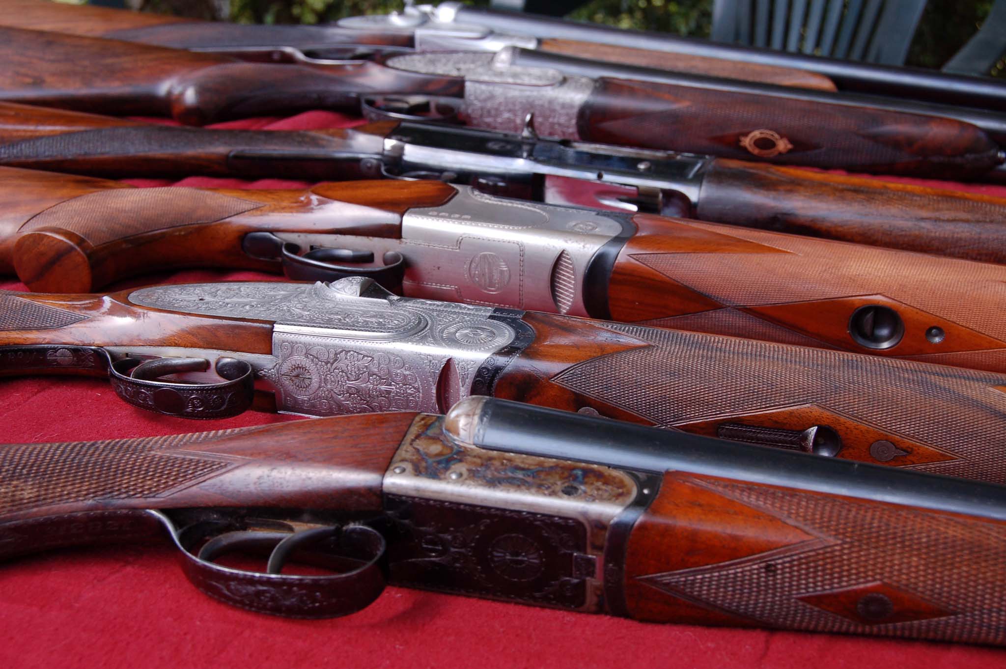 selvaggina-migratoria: Consigli ai giovani