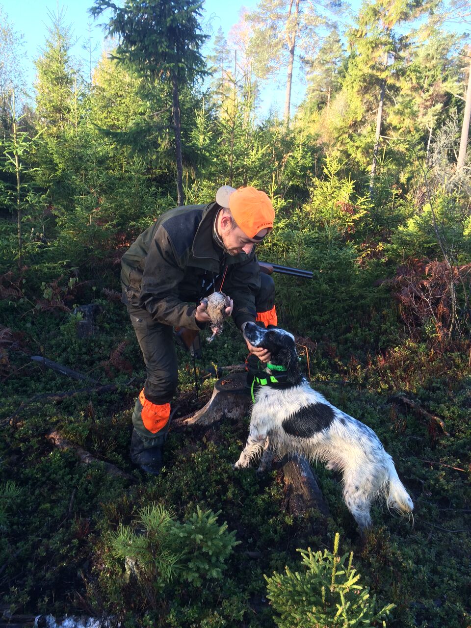 caccia-alle-beccacce: Beccacce che Passione 2-2016: tutti i contenuti del nuovo numero