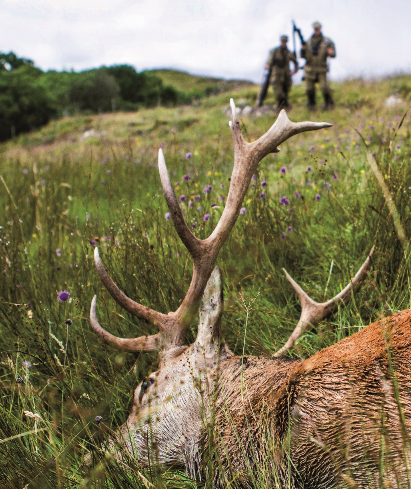 Cacciare-a-Palla-settembre-2016 in edicola Cervo in primo piano e due cacciatori sullo sfondo