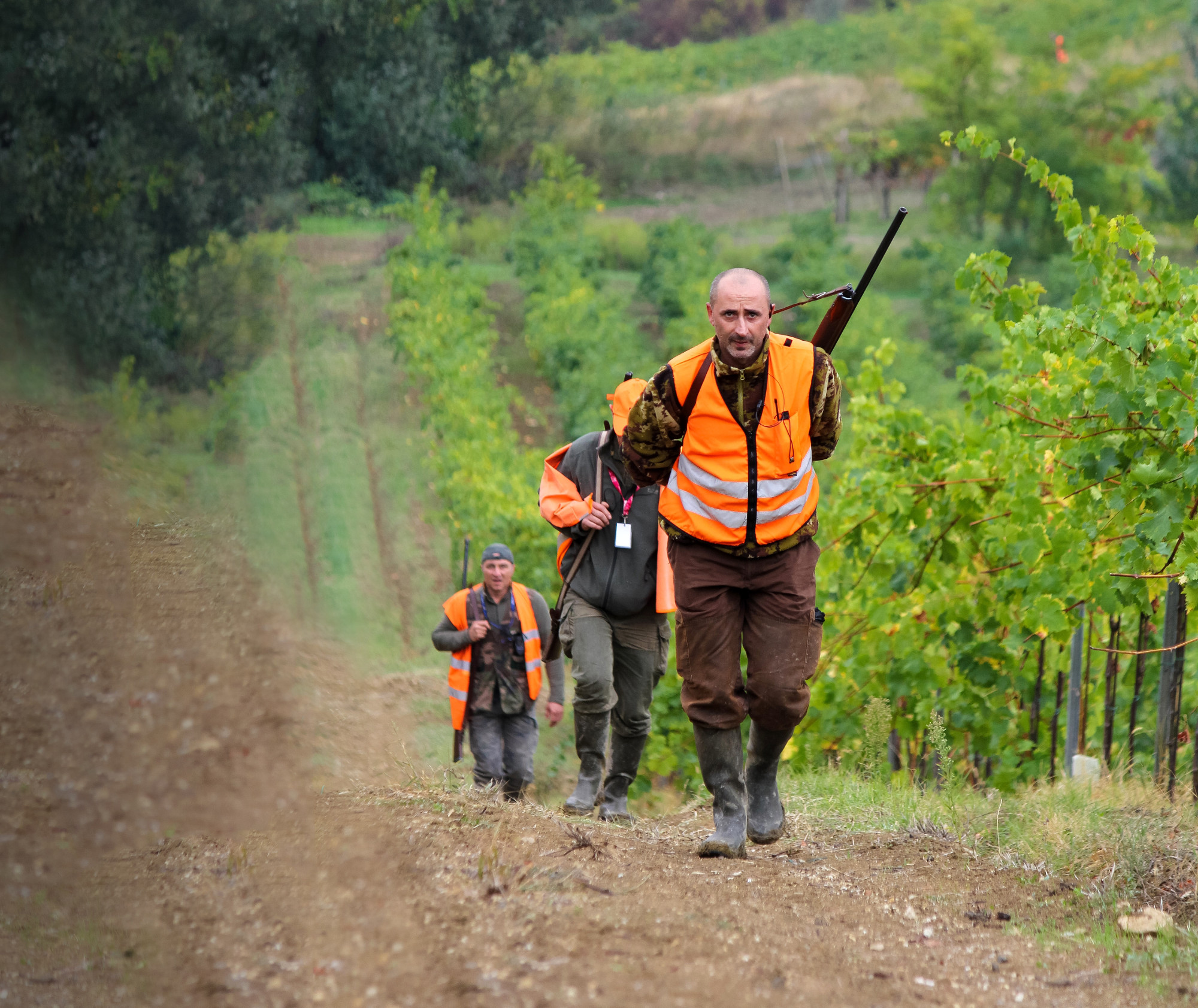 caccia-al-cinghiale: Cinghiale che Passione dicembre 2016-gennaio 2017: i contenuti del nuovo numero