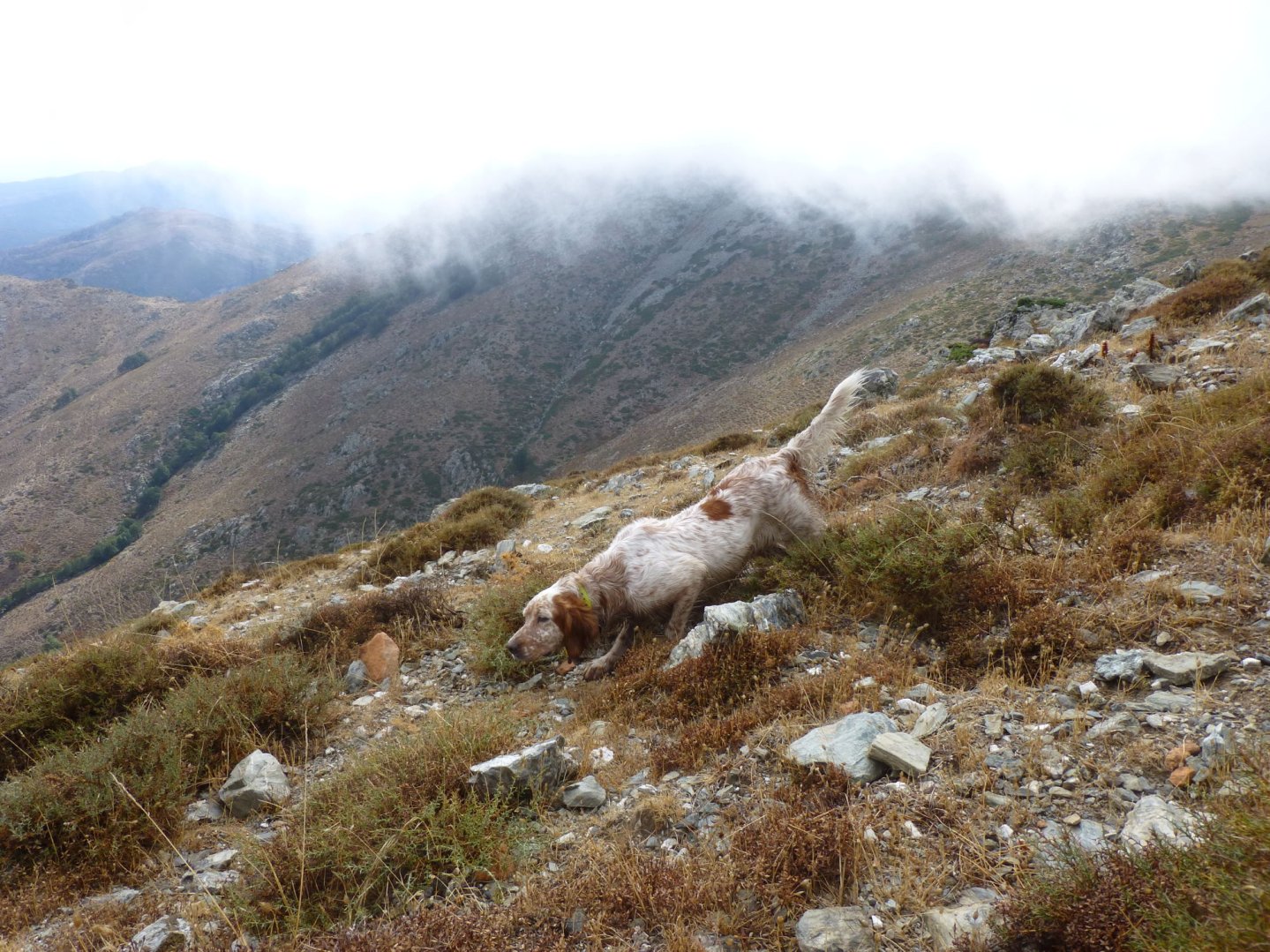 Sentieri di Caccia dicembre 2016 Copertina di Sentieri di Caccia dicembre 2016