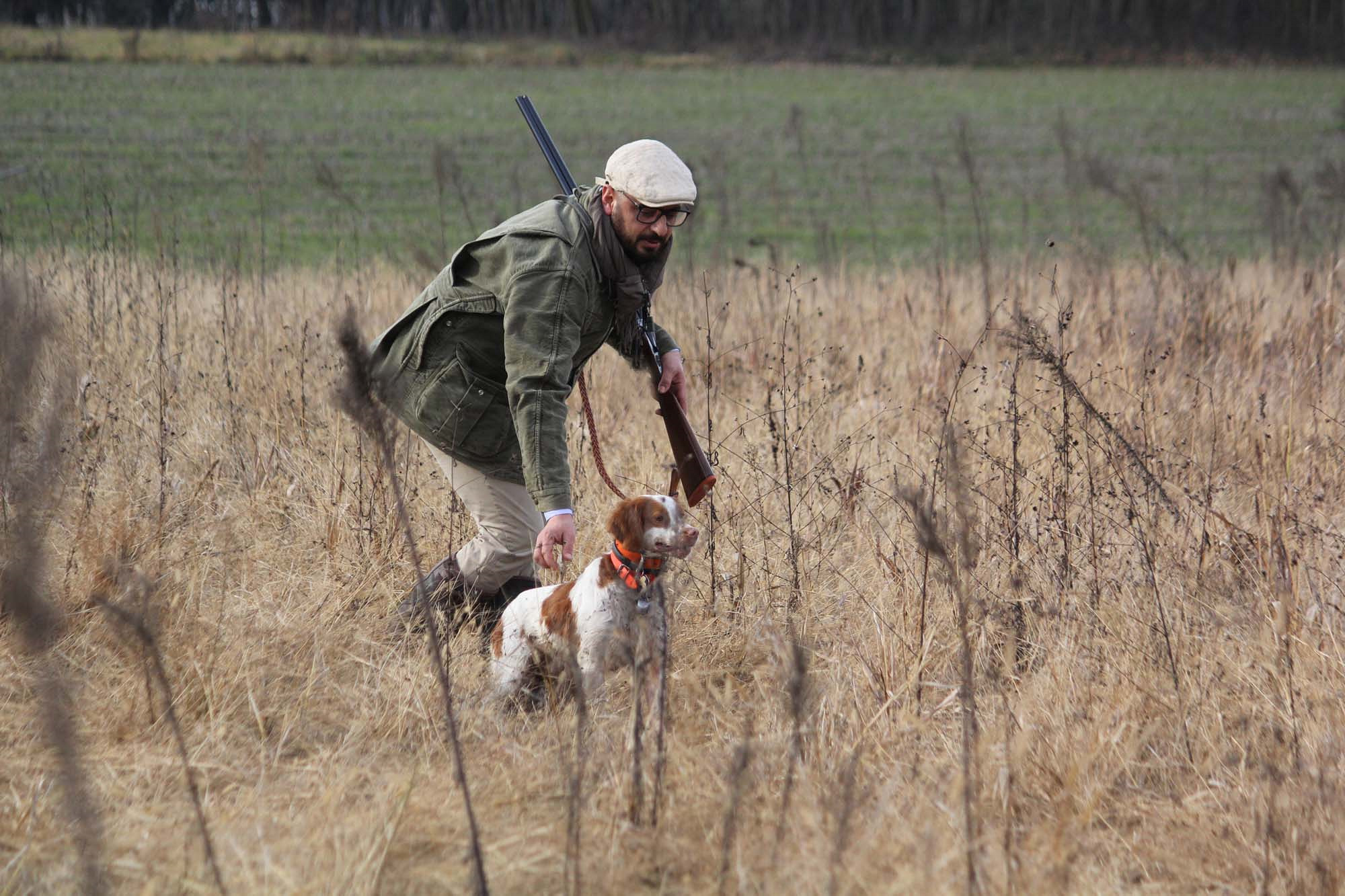caccia: Sentieri di Caccia settembre 2016: i contenuti del nuovo numero