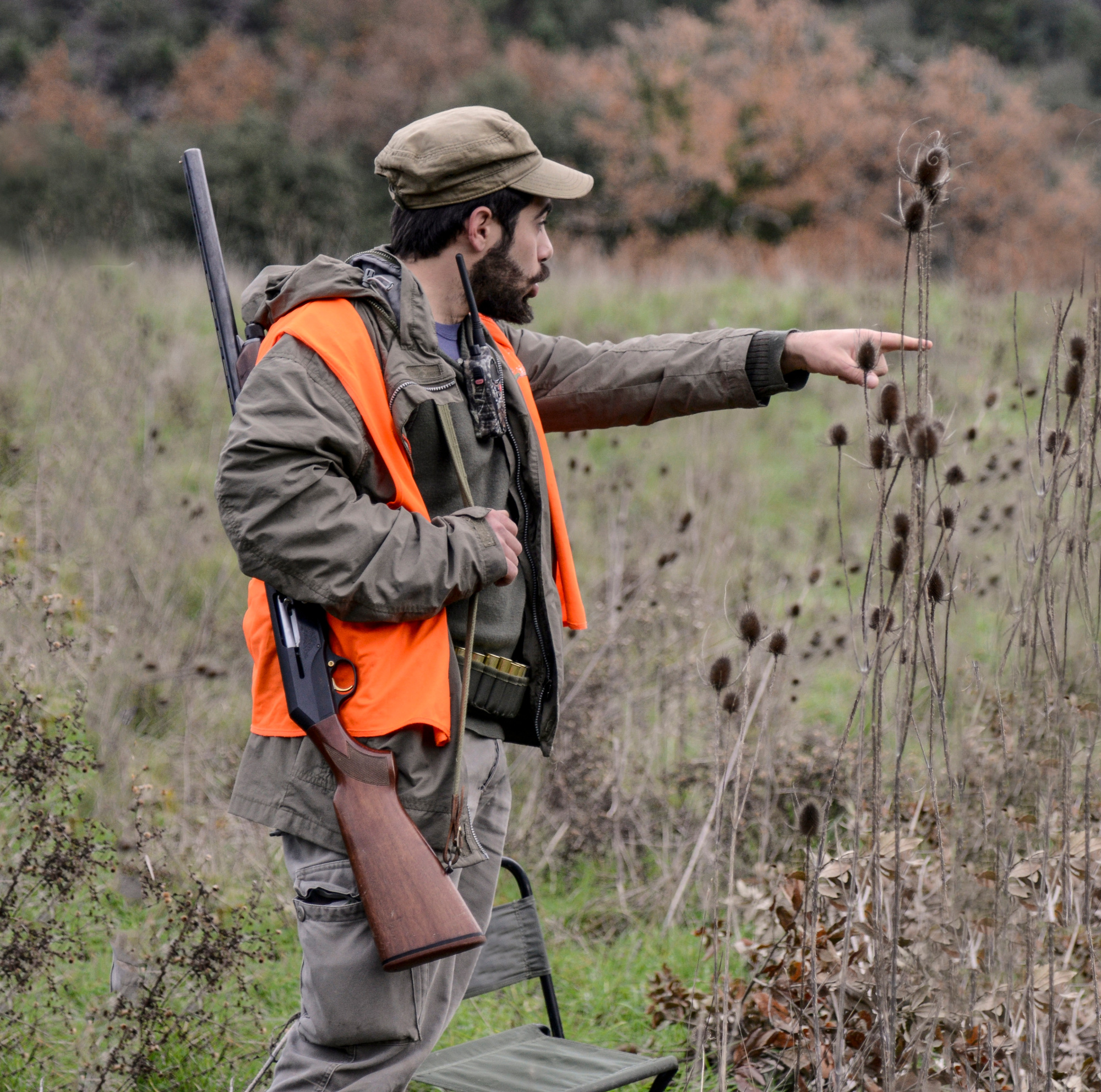 caccia-al-cinghiale: Cinghiale che Passione ottobre-novembre 2016: i contenuti del nuovo numero