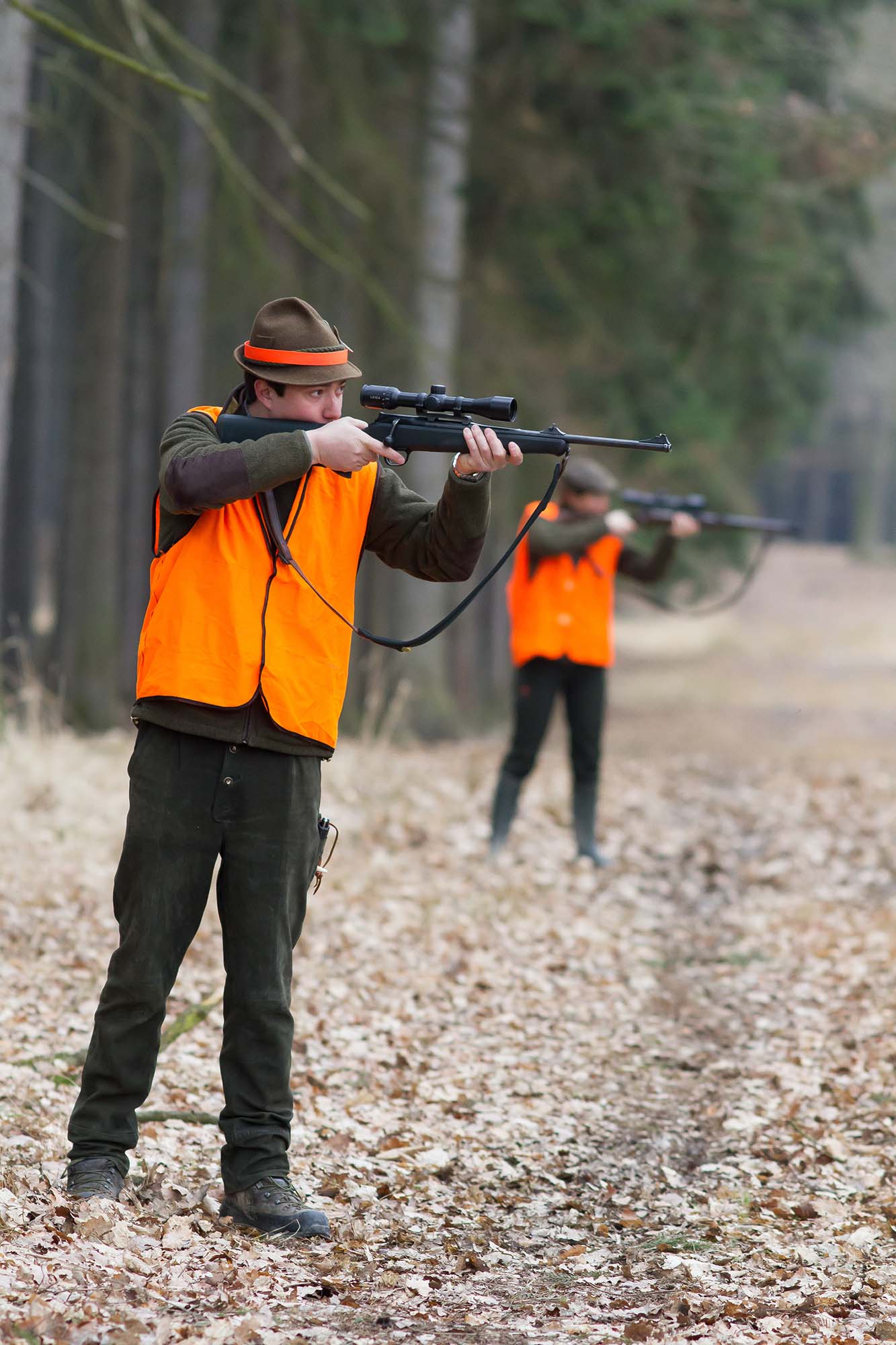 caccia-a-canna-rigata: Cinghiale che Passione  3/2016: tutti i contenuti del nuovo numero caccia-a-canna-rigata: Cinghiale che Passione  3/2016: tutti i contenuti del nuovo numero