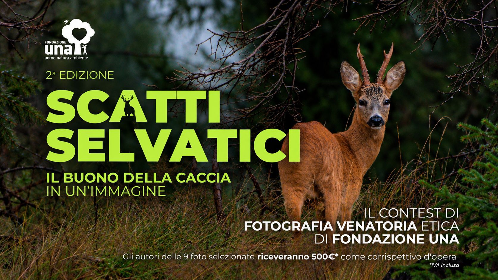Fondazione UNA: Scatti Selvatici 2026: torna il concorso fotografico di Fondazione UNA. La premiazione sarà a EOS 2027.