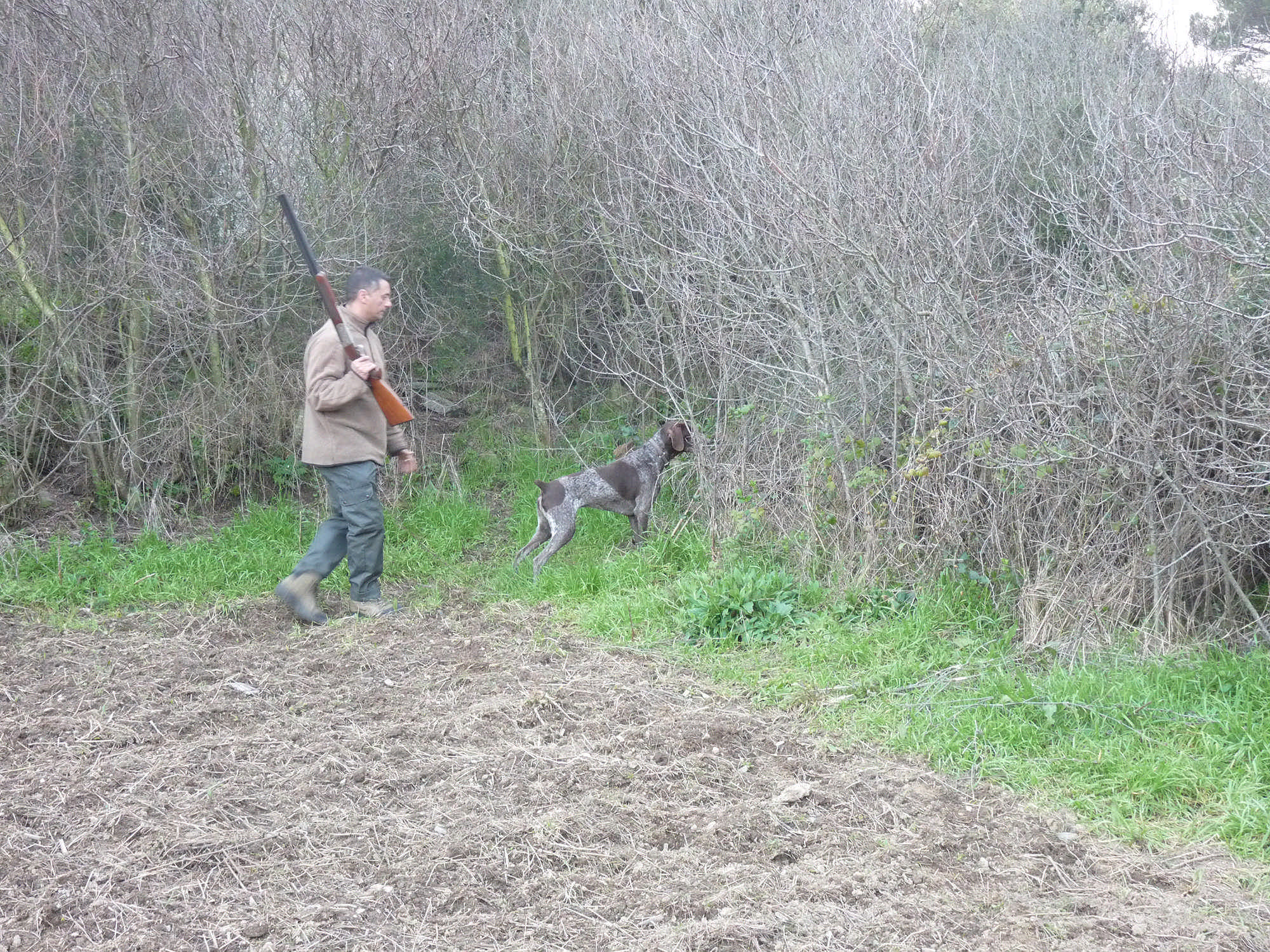 legislazione-venatoria: Calendario integrativo di Bergamo: arrivano le correzioni