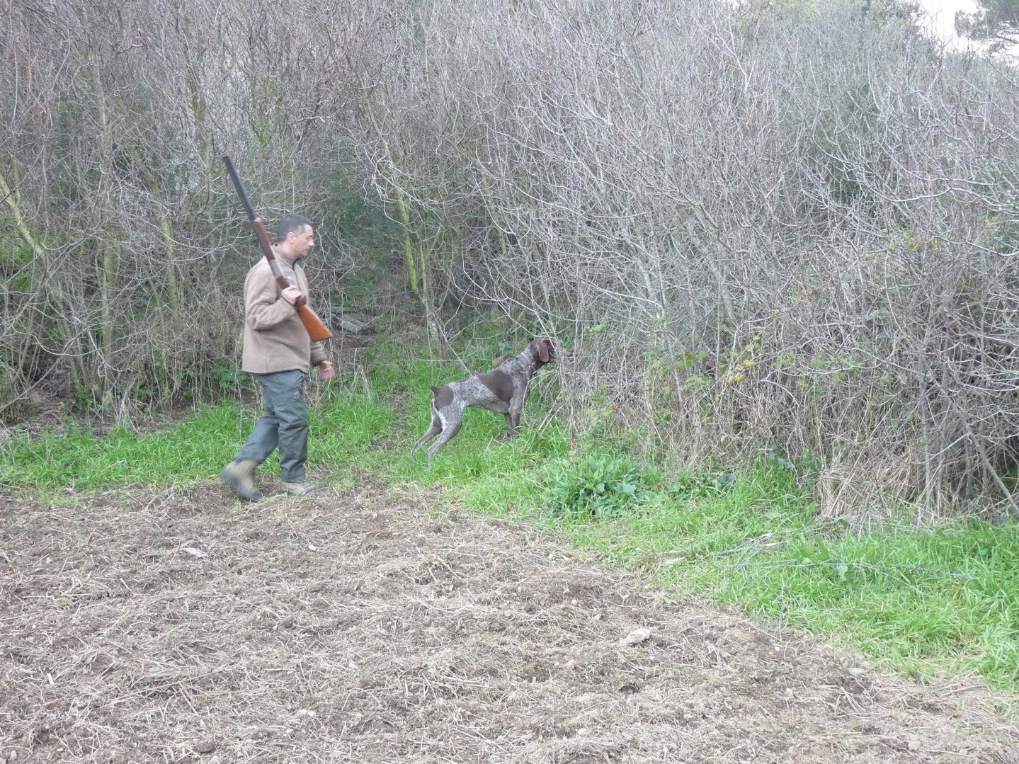 Calendario venatorio Bergamo cacciatore