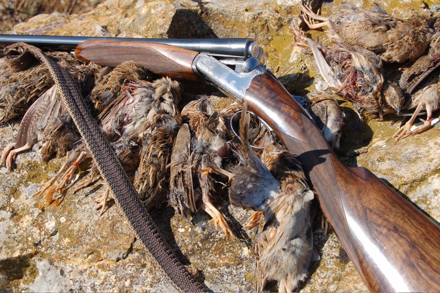 La doppietta e le sue configurazioni La doppietta e le sue configurazioni