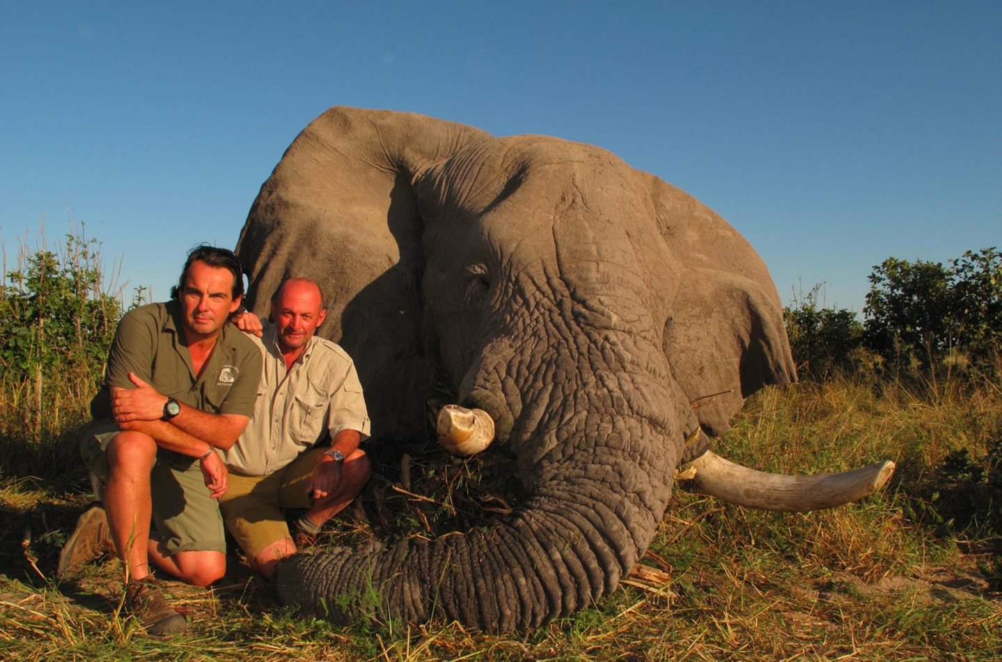 A caccia di elefanti in Botswana